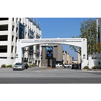 Sony Pictures